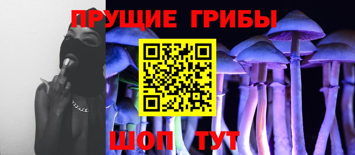 Псилоцибиновые грибы прущие грибы  Вход с VPN  Озёрск 